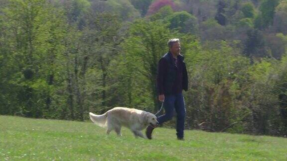 一个成熟的男人带着狗在乡下散步用R3D拍摄