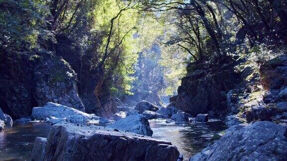 绿树环绕的山间溪流阳光穿过树林的河流