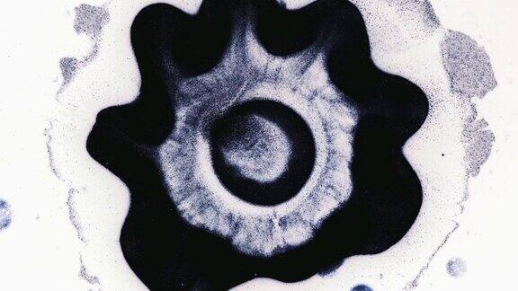 快速突变的黑色细菌细胞通过显微镜保健研究背景