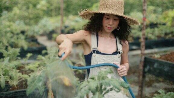 一名亚洲妇女在自家花园里照料植物