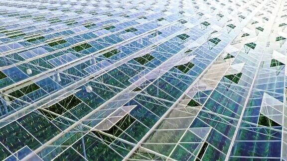 空中大型玻璃温室