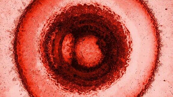 闪闪发光的红色球体就像一个变异的细胞背景
