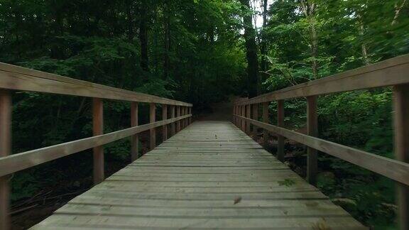 飞过森林中的木桥空中飞行穿过树林
