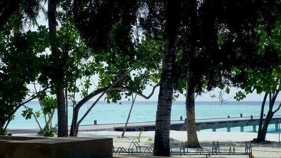 热带沙滩棕榈树和码头