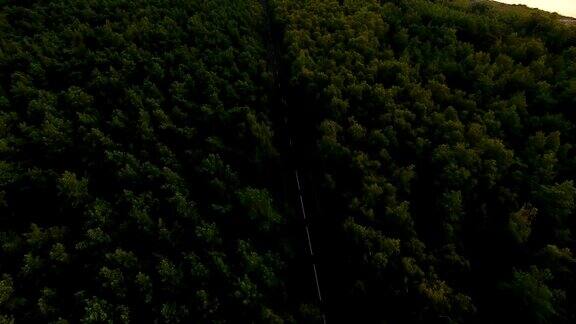 森林中的高速公路鸟瞰图