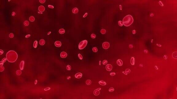 红细胞在体内动脉内流动医用人体保健4K3d循环动画