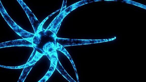 神经细胞的医学精确插图的3d渲染