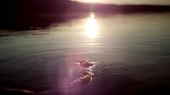 在湖里冷却日落