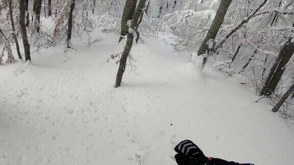 森林里的滑雪道