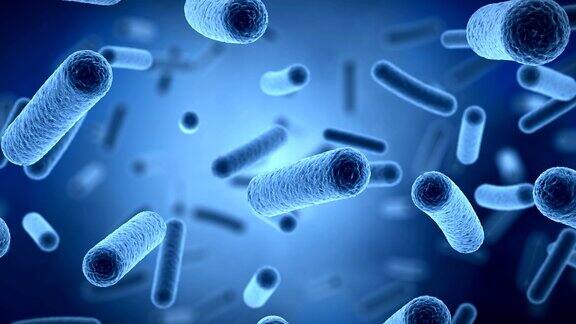 漂浮细菌的三维显微动画