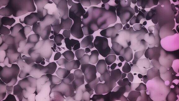 抽象紫色细胞动画运动