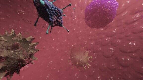 3d渲染显微镜病毒-细菌接近动画循环1分钟医疗全景背景