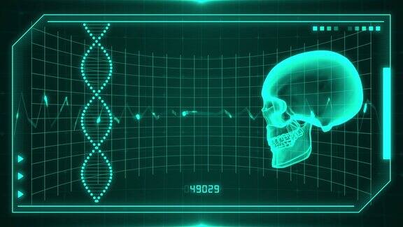 头部人类头骨x射线参数扫描监视器屏幕中间3d发光动画头骨头部旋转DNA图标分析背景4k保健心灵参数人类