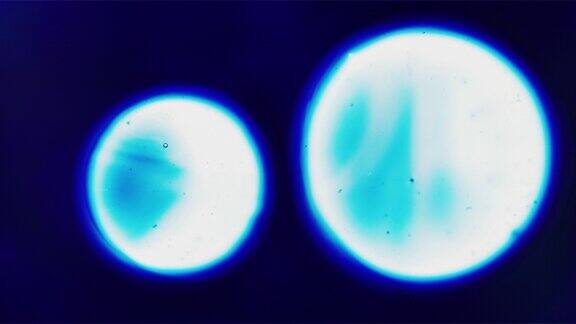 蓝色的细胞液滴漂浮在空间融合在一起的背景
