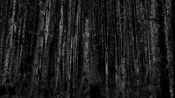 森林-黑色背景(淡出)