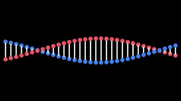 DNA分子旋转的动画