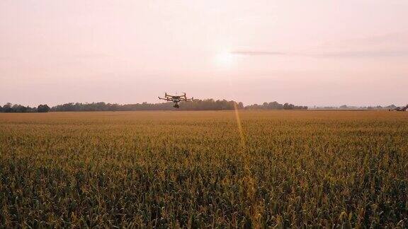 无人机在日落时飞过田野
