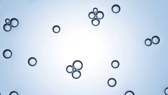 甘油的气泡相互吸引形成气泡团
