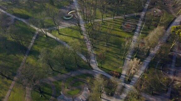 春天公园里的树和胡同