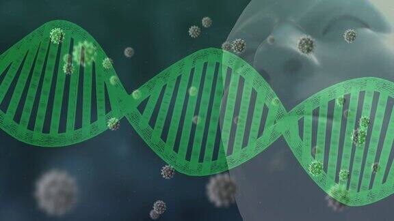 DNA和冠状病毒飞越人头