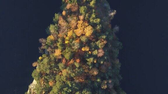 秋季森林鸟瞰图