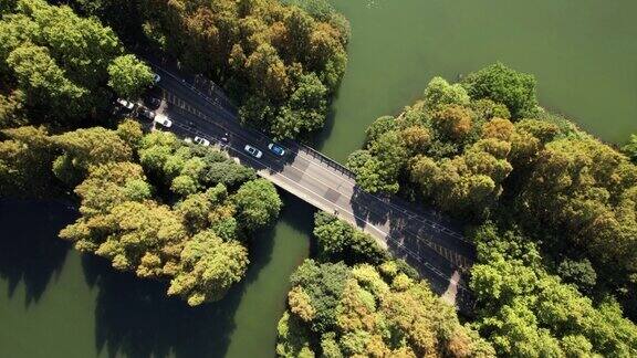 通过湖泊和树木区域的道路鸟瞰图