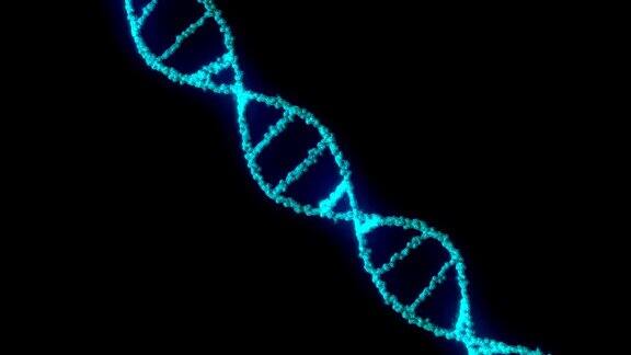 无缝循环DNA链的动画