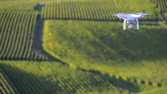 无人机在葡萄园上空飞行