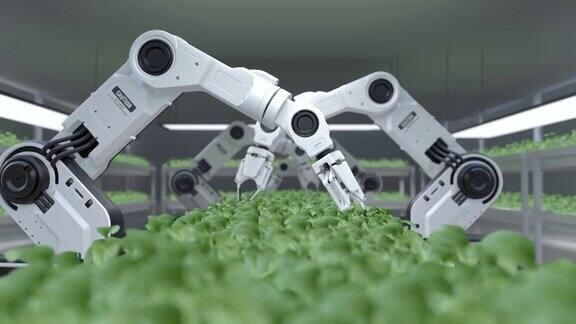 智能机器人农民概念机器人农民