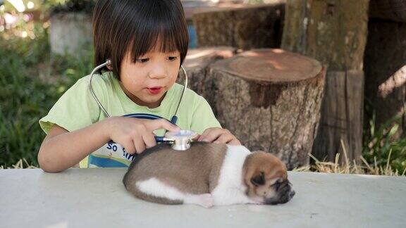 儿童医生和小狗玩兽医游戏
