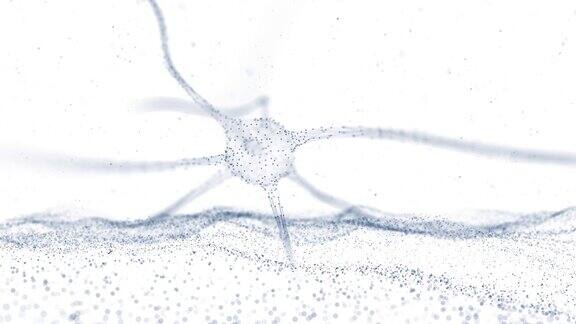 大脑中的艺术神经细胞白色背景上的点波