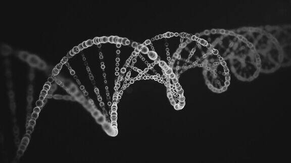 数字DNA分子特写无缝循环