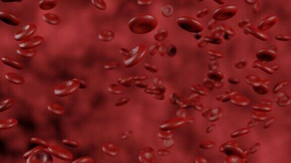 红血球在动脉的血流中移动血红蛋白细胞的三维动画红细胞在血液循环系统中的血管流动的医学三维动画微生物