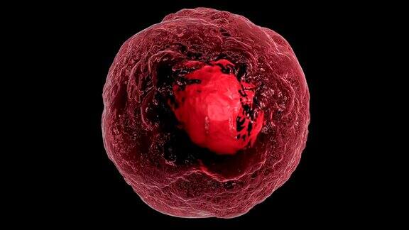 真核细胞运动的三维动画在黑色的背景