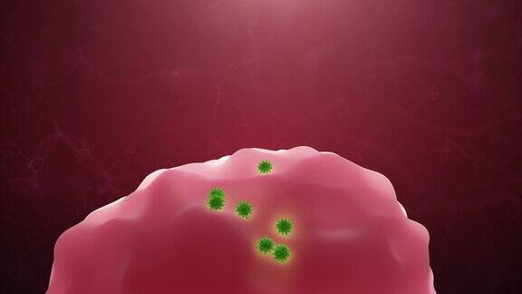 病毒攻击细胞保健、感染和免疫缺陷概念