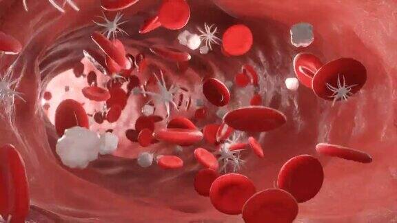 在动脉中与病毒一起流动的红细胞三维视频