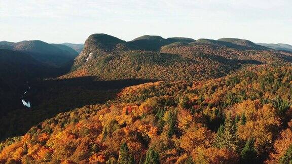 鸟瞰图的北方森林自然在秋天在日出魁北克加拿大