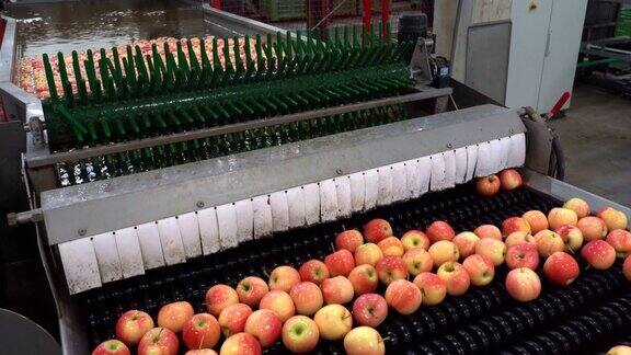 生鲜产品配送中心苹果洗涤、分拣、分级、打蜡生产线