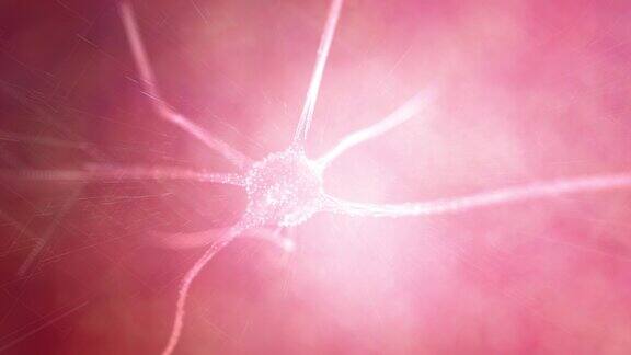 脑中的环形神经元细胞动画背景