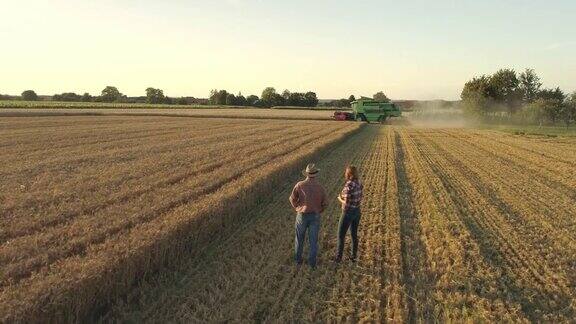 无人机视角下的农民谈天看着联合收割机阳光灿烂地收割农村的小麦收获慢动作