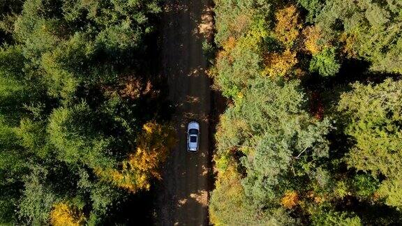 秋日森林小径上的汽车俯视图