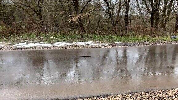 湿沥青道路