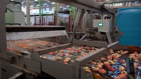 水果包装设备内部与苹果漂浮清洗和运输在水箱输送机