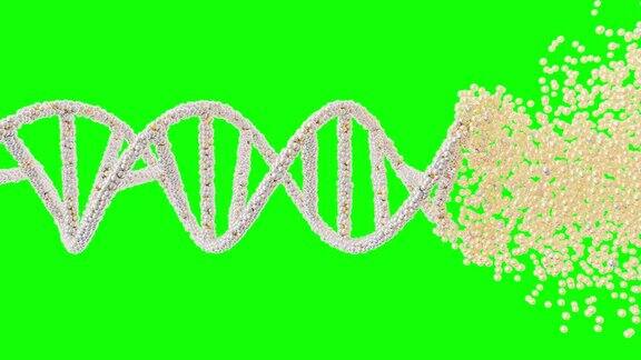 DNA分子从粒子中分离出来绿屏和Alpha通道科学还是化妆品行业元素的动画