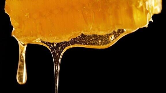 蜂蜜从蜂巢中滴落极端宏观天然蜜蜂蜂蜡细胞黄金花蜜