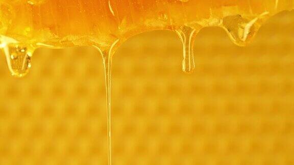 蜂蜜从蜂巢中滴落极端宏观天然蜜蜂蜂蜡细胞黄金花蜜