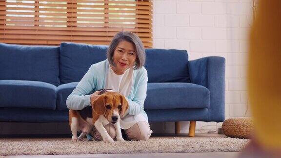 亚洲老年妇女和年幼的女儿在家里与小猎犬玩耍有吸引力的家庭感到快乐和放松享受休闲时光并练习她可爱的宠物小狗跑到主人家里