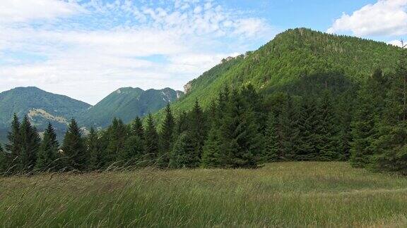 美丽的马拉法特拉国家公园、草地和山丘山峰在背景新鲜的绿色森林和草地在前景充满活力的夏日里湛蓝的天空徒步旅行和徒步旅行斯洛伐克