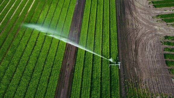 农业灌溉系统鸟瞰图