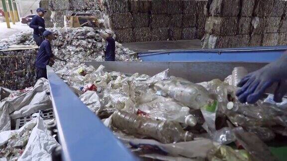 回收塑料厂工人在传送带上挑选和分类使用过的PET瓶
